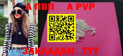 индика Кингисепп