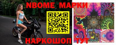 индика Кингисепп