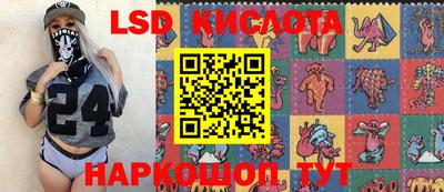 индика Кингисепп