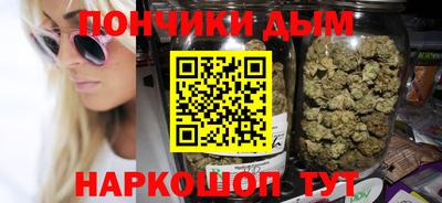 индика Кингисепп