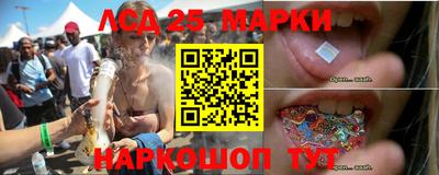 индика Кингисепп