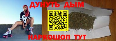 индика Кингисепп
