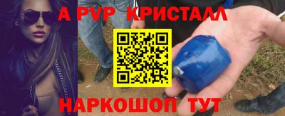 индика Кингисепп