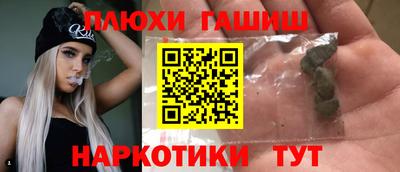 индика Кингисепп