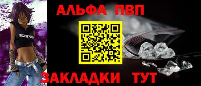 индика Кингисепп