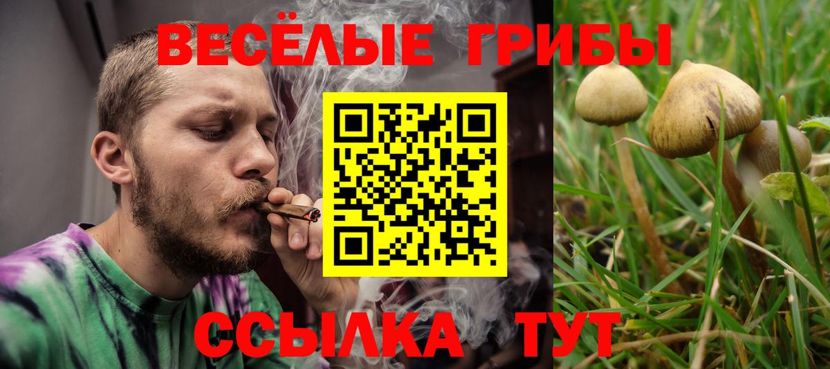 Псилоцибиновые грибы Cubensis  Вход с VPN  Дюртюли 